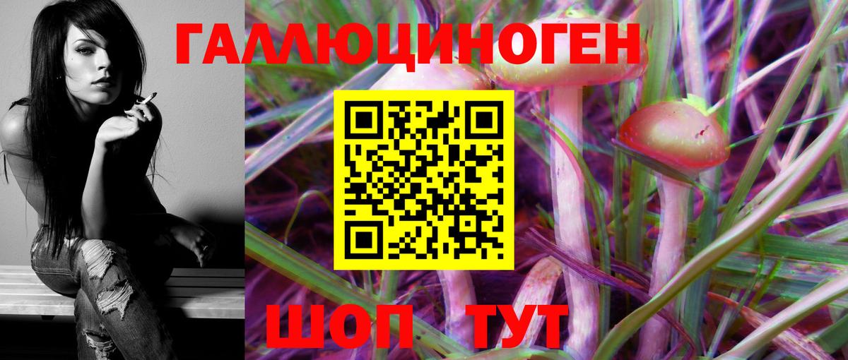 Псилоцибиновые грибы Cubensis Сертолово