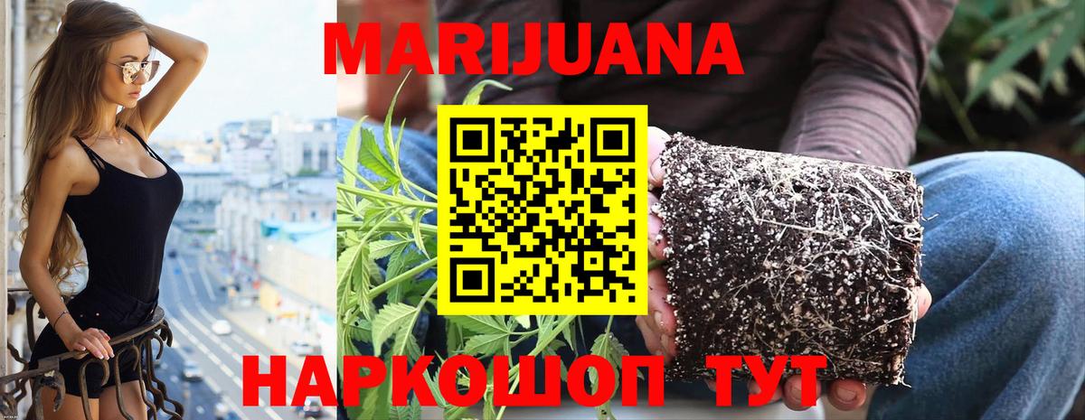 Марихуана ГИДРОПОН  МАРИХУАНА Ganja  Сертолово  Канабис тримм  МАРИХУАНА марихуана  Вход с VPN 